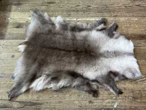 Norwegian reindeer pelt