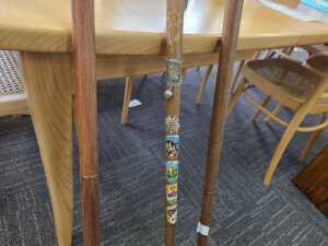 Walking and hiking sticks - 4