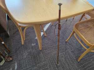 Rural rambler's cane