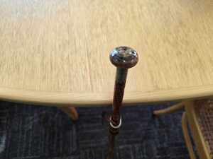Rural rambler's cane - 2