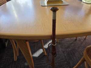 Rural rambler's cane - 3
