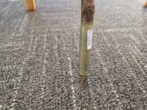 Rural rambler's cane - 4