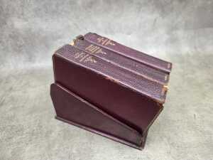 Seven leatherbound books - 5