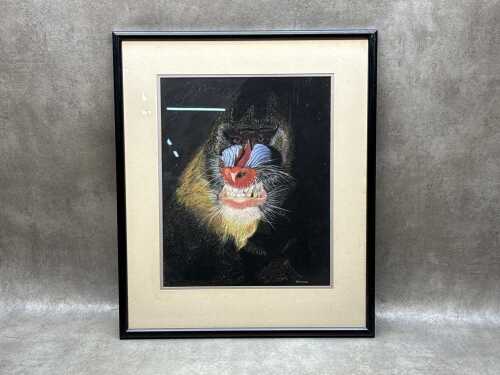 P. Hodson (unknown artist), (Mandrill), chalk pastel drawing on paper