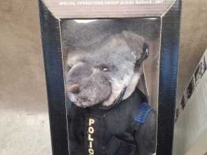 Two Victoria Police Blue Ribbon teddy bears, 2003 and 2004 - 2