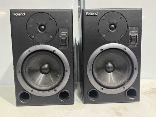 Pair of Roland powered studio monitors with digital input