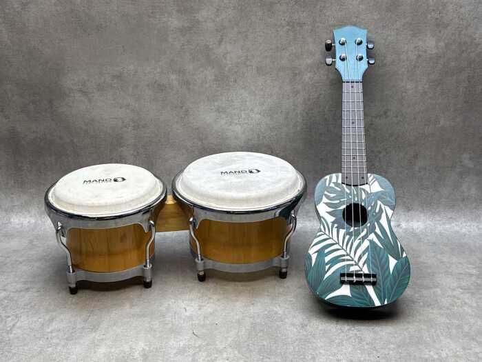 Two musical instruments