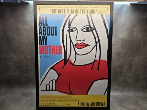 'All About My Mother' framed movie poster