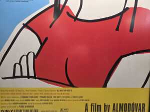 'All About My Mother' framed movie poster - 4