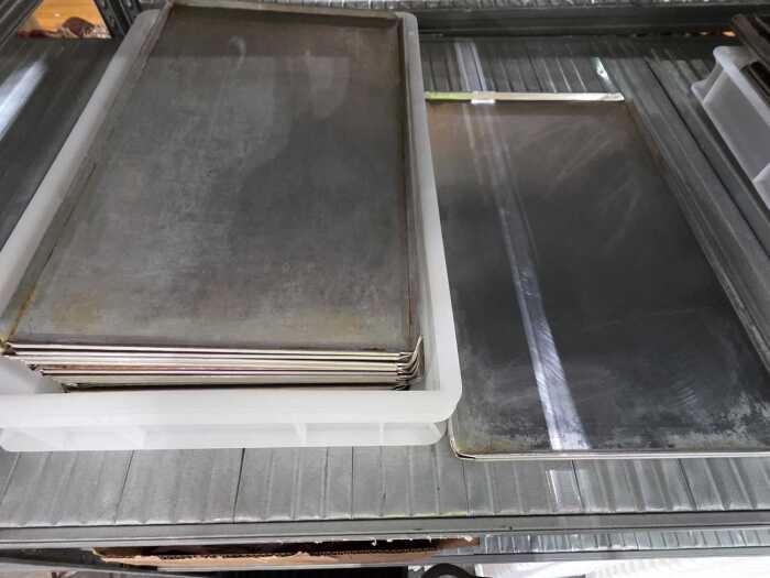 Ten Commercial pizza dough trays