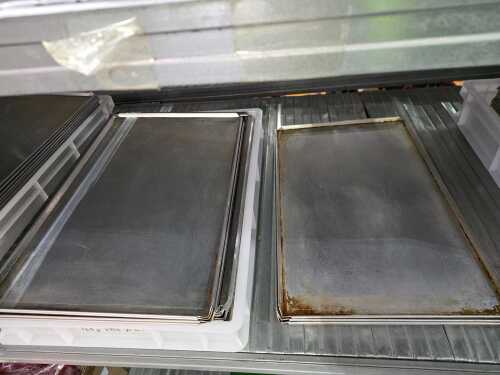 Ten Commercial pizza dough trays