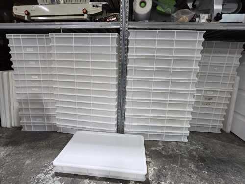 Approx. 60 white plastic dough proofing trays with lids