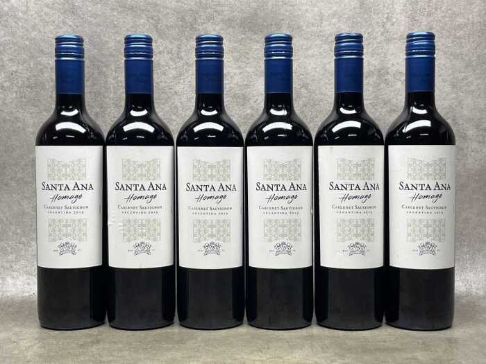 Santa Ana Homage Cabernet Sauvignon (2019), six bottles