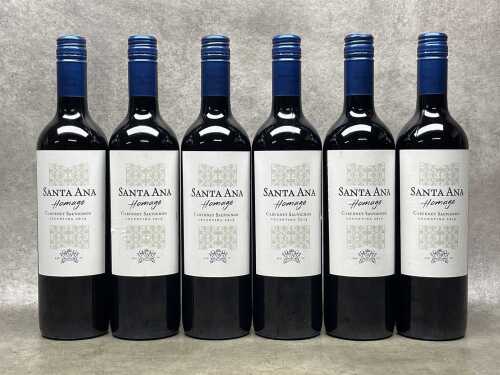 Santa Ana Homage Cabernet Sauvignon (2019), six bottles