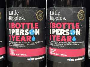 Mixed Shiraz, six bottles - 2