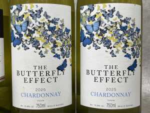 Mixed Chardonnay, six bottles - 4