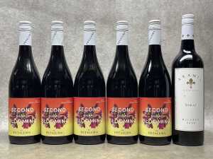 Mixed Shiraz, six bottles