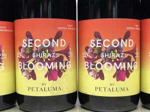 Mixed Shiraz, six bottles - 2