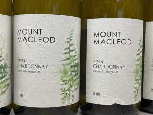 Mixed white wine, six bottles - 2