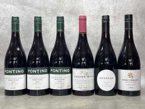Mixed Pinot Noir, six bottles