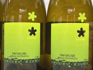 Mixed white wine, six bottles - 2
