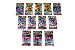 12x Pok&eacute;mon Mega Evolution Chaos Rising Booster Packs