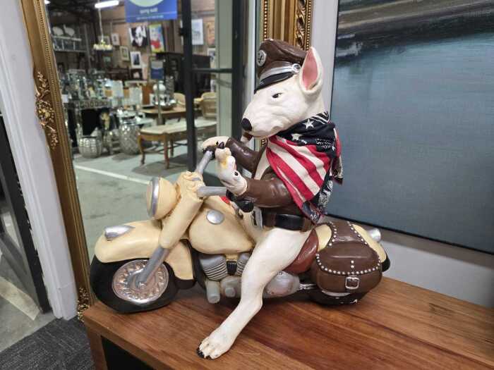 Biker Bull Terrier (with attitude) riding a motorcycle chalkware sculpture