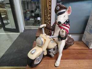 Biker Bull Terrier (with attitude) riding a motorcycle chalkware sculpture - 2