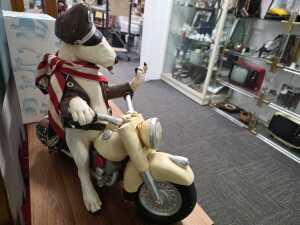 Biker Bull Terrier (with attitude) riding a motorcycle chalkware sculpture - 5