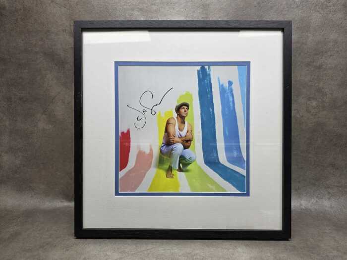 Jason Mraz 'Mystical Magical Rhythmical Radical Ride' framed art card