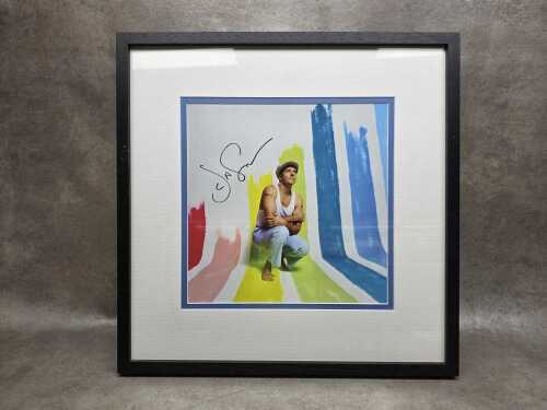 Jason Mraz 'Mystical Magical Rhythmical Radical Ride' framed art card