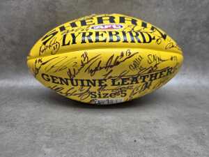 Signed 2017 AFL Collingwood football with 48 signatures - 2