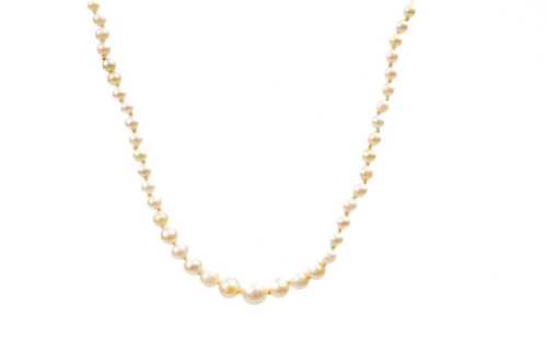 A strand of pearls with a pearl and diamond set clasp in 9ct white gold
