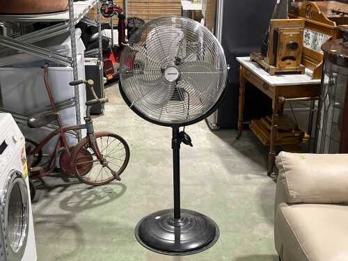 Dimplex pedestal fan
