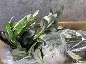 Artificial olive plant - 2