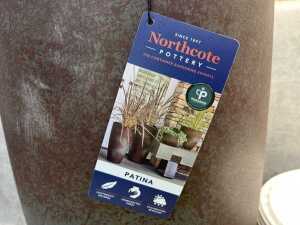 Topbuxus fertiliser & planter - 3