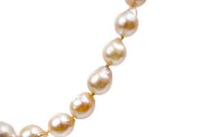 A strand of semi baroque pearls to a silver clasp - 2