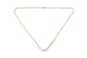 A strand of semi baroque pearls to a silver clasp - 3