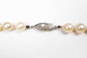 A strand of semi baroque pearls to a silver clasp - 4