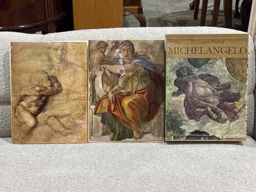 The Complete World of Michel Angelo in hard cover protective sleeve