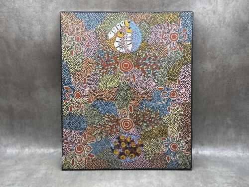 Sandra Turner Nambidjamba, Indigenous Australian acrylic painting on canvas