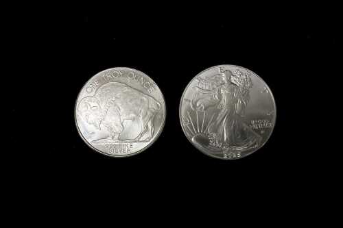 Two American 2025 silver coins, total 2oz