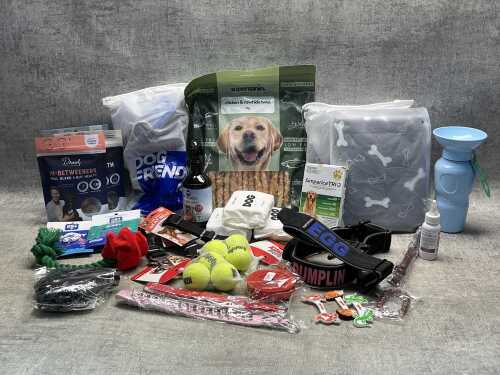 Group of dog products