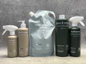 Group of Euclove cleaning products