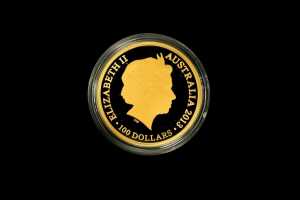 20th Anniversary Edition Kangaroo Series 2013 $100 0.999 gold proof coin, 1 troy ounce - 2
