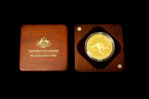 20th Anniversary Edition Kangaroo Series 2013 $100 0.999 gold proof coin, 1 troy ounce - 3