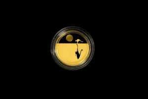2010 Kangaroo at Sunset $25 0.999 gold proof coin, 1/5 troy ounce, 6.22 grams