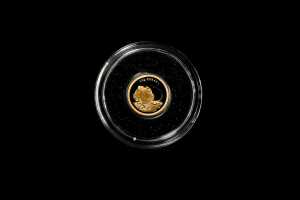 2013 Frilled Neck Lizard $2 0.999 gold proof coin, 0.5 grams