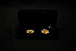 1919 and 2019 0.9167 gold sovereign Centenary pair. 15.96 grams total - 6