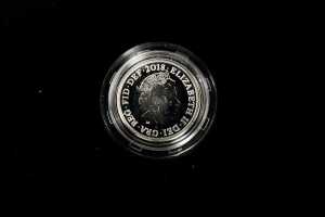 Two coins in 0.925 silver and Platinum - 3